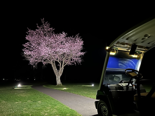 【期間限定】北海道カントリークラブ　プライベート夜桜ツアー　朝食付き
